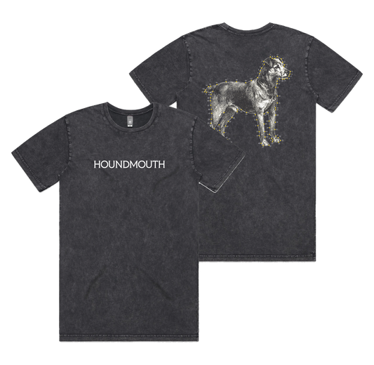 *NEW* Dog Tee